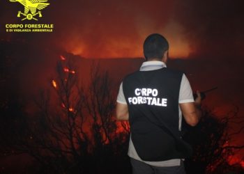 Incendio nelle campagne di Paulilatino, sul posto uomini e mezzi del Corpo forestale