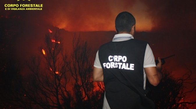 Incendio nelle campagne di Paulilatino, sul posto uomini e mezzi del Corpo forestale