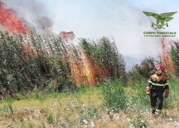 Incendi nelle campagne di Fonni e Sassari, in azione uomini e mezzi del Corpo forestale