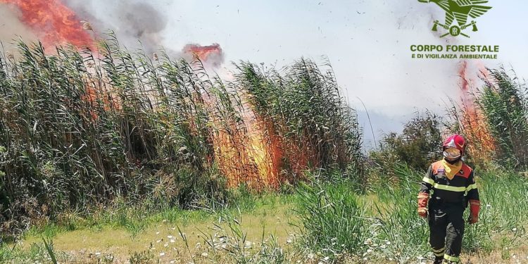 Incendi nelle campagne di Fonni e Sassari, in azione uomini e mezzi del Corpo forestale