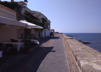 Lotta al randagismo ad Alghero. Andrea Montis: «Polemicucce inutili dal centrosinistra»