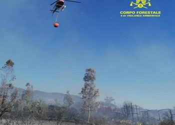 Fiamme nelle campagne di Ollolai, sul posto uomini e mezzi del Corpo forestale