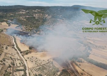 Fiamme nelle campagne di Sennariolo, in azione mezzi e uomini della Forestale