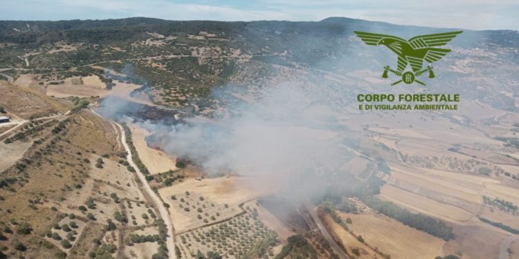 Fiamme nelle campagne di Sennariolo, in azione mezzi e uomini della Forestale