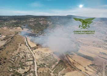 Oggi, su un totale di 13 incendi sviluppatisi in Sardegna, 3 hanno richiesto l’intervento del mezzo aereo del Corpo forestale