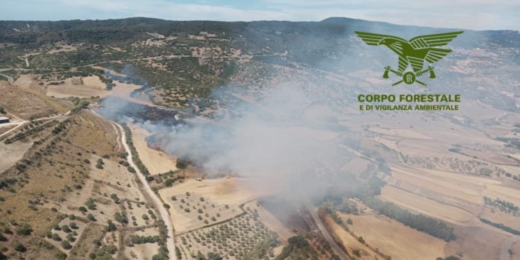 Oggi, su un totale di 13 incendi sviluppatisi in Sardegna, 3 hanno richiesto l’intervento del mezzo aereo del Corpo forestale