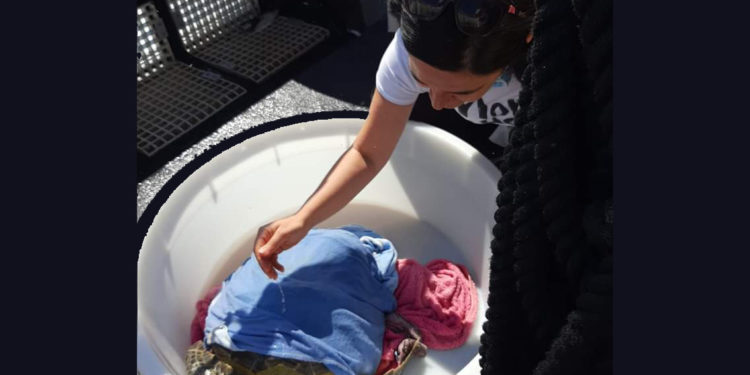 Sinis: torna in libertà la tartaruga Arrubia 