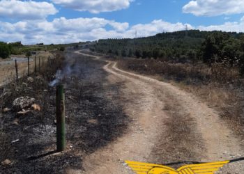 Incendio nelle campagne di Macomer, in azione uomini e mezzi del Corpo forestale