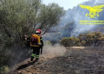 Incendi a Serramanna e Sorso, sul posto uomini e mezzi del Corpo forestale