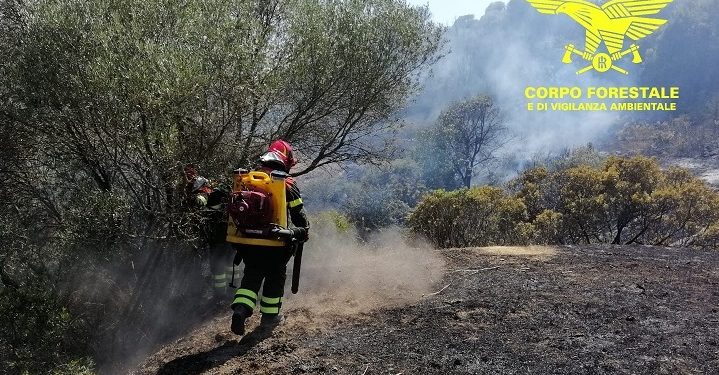 Incendi a Serramanna e Sorso, sul posto uomini e mezzi del Corpo forestale