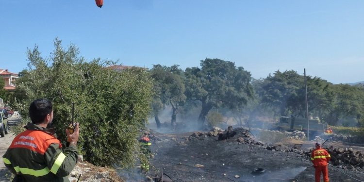 Incendi a Torpè e Gesturi, sul posto il Corpo forestale