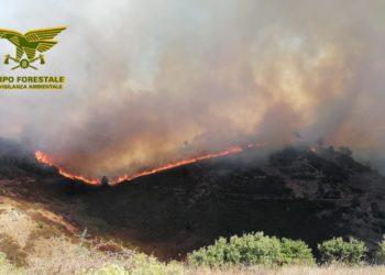 Sassari: incendio in località Monte delle Case, in azione il Corpo forestale
