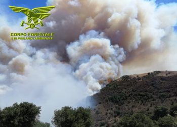 Giornata difficilissima sul fronte incendi, sui 31 sviluppatisi oggi in Sardegna, per 11 è intervenuto il mezzo aereo del Corpo forestale