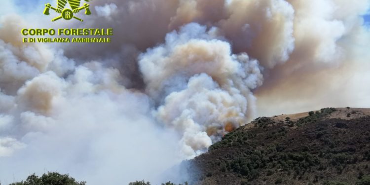 Giornata difficilissima sul fronte incendi, sui 31 sviluppatisi oggi in Sardegna, per 11 è intervenuto il mezzo aereo del Corpo forestale