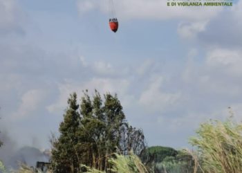 Fiamme nelle campagne di Terralba, sul posto uomini e mezzi del Corpo forestale