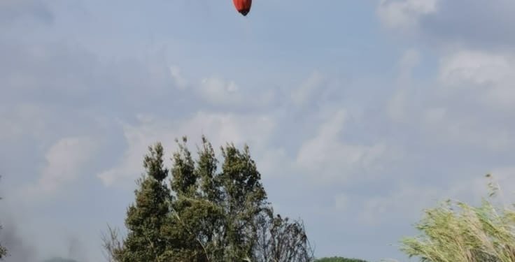 Fiamme nelle campagne di Gesturi, sul posto uomini e mezzi del Corpo forestale