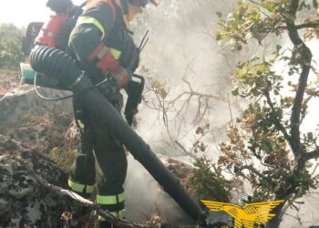 Fiamme nelle campagne di Nurri, sul posto uomini e mezzi della Forestale 