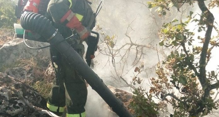 Fiamme nelle campagne di Nurri, sul posto uomini e mezzi della Forestale 