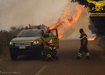 Incendi a Nurri e Bottidda, sul posto il Corpo forestale