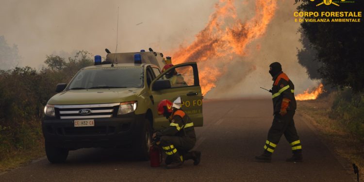 Incendi a Nurri e Bottidda, sul posto il Corpo forestale