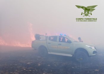Fiamme nelle campagne di Lanusei, in azione il Corpo forestale