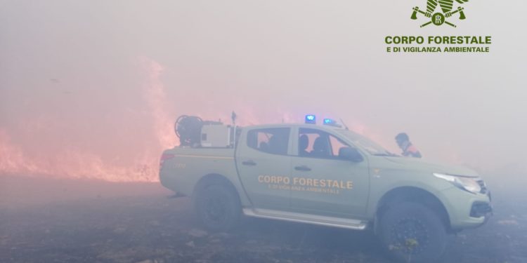 Fiamme nelle campagne di Lanusei, in azione il Corpo forestale