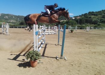 Porto Rotondo: dal 7 al 9 agosto il PalaHorse/Hippopark