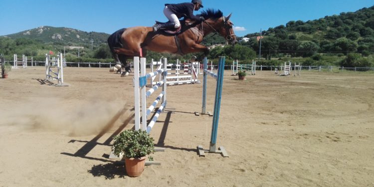 Porto Rotondo: dal 7 al 9 agosto il PalaHorse/Hippopark