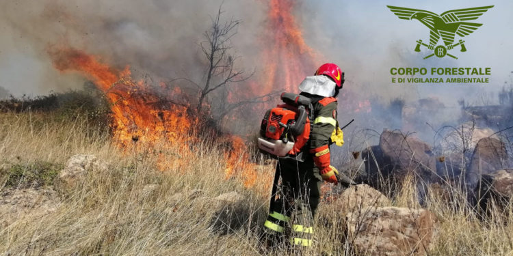 Incendio nelle campagne di Ittiri, sul posto uomini e mezzi del Corpo forestale
