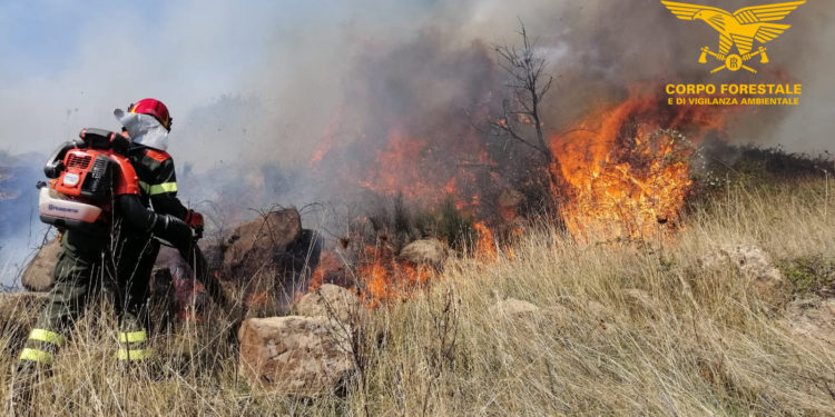 Incendio nelle campagne di Segariu, sul posto il Corpo forestale