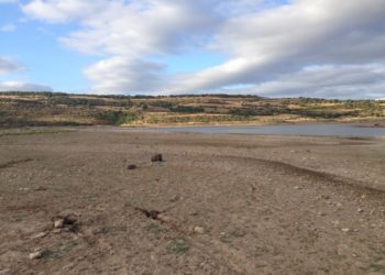 Buone notizie per gli agricoltori: sbloccate le domande della siccità 2017