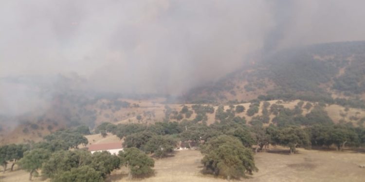 È stato spento attorno alle 17.30 l’incendio che ha interessato la località “Monte San Mauro”, nelle campagne di Gesico