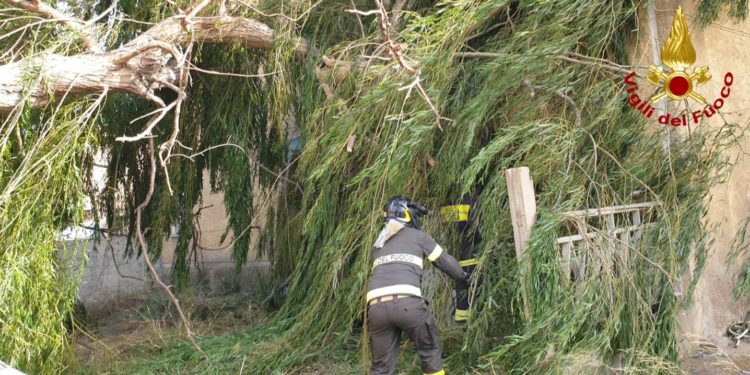 Sono gravi i danni causati dal maestrale, numerosi gli interventi dei vigili del fuoco nel Nord Sardegna