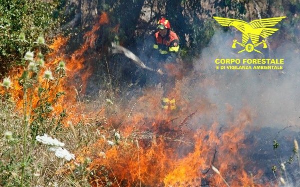 Oggi, sui 16 incendi sviluppatisi in Sardegna, solo uno ha richiesto l’intervento dei mezzi aerei del Corpo forestale