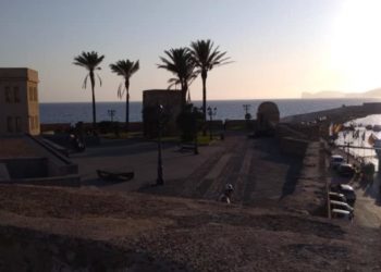 Alessandro Cocco (FdI Alghero): «Ora sciogliere le Camere e tornare al voto»