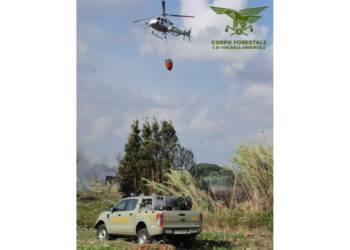 Incendio nelle campagne di Santa Giusta, sul posto il Corpo forestale
