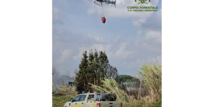 Incendio nelle campagne di Santa Giusta, sul posto il Corpo forestale