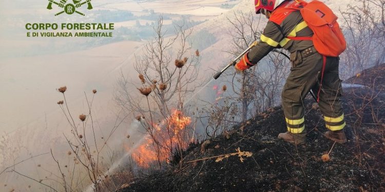 Incendio nelle campagne di Sindia, sul posto il Corpo forestale