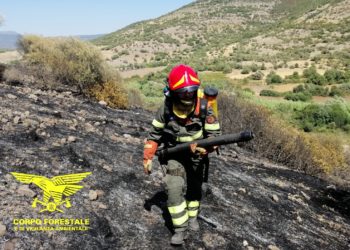 Un elicottero del Corpo forestale proveniente da Anela sta intervenendo su un incendio nelle campagne di Macomer, in località Riu Campeda.