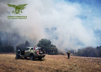 Solo 1 dei 9 incendi sviluppatisi oggi in Sardegna, ha richiesto l’intervento del mezzo aereo del Corpo forestale