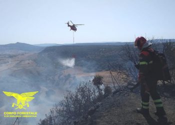 Solo 1 dei 7 incendi sviluppatisi oggi in Sardegna, ha richiesto l’intervento del mezzo aereo del Corpo forestale
