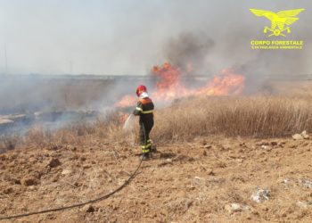 Oggi, su un totale di 12 incendi sviluppatisi sul territorio regionale, 2 hanno richiesto l’intervento del mezzo aereo del Corpo forestale