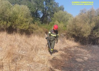 2 dei 12 incendi sviluppatisi oggi in Sardegna, hanno richiesto l’intervento del mezzo aereo del Corpo forestale