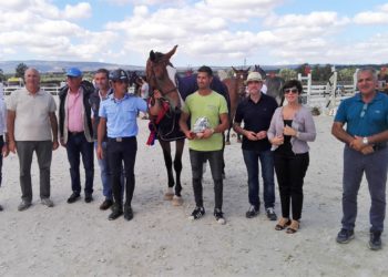 A Tanca Regia (Abbasanta), è tutto pronto per il Sardegna Jumping Tour ed il 58° Premio Regionale Sardo
