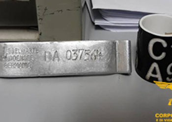 Ritrovato un falco pescatore (Pandion Haliaetus) morto in seguito a folgorazione