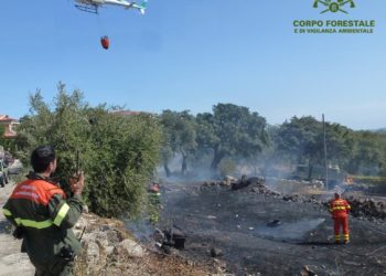 Incendio nelle campagne di Gergei, sul posto il Corpo forestale