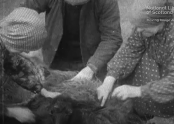 Al via la tredicesima edizione del “Terre di confine filmfestival”