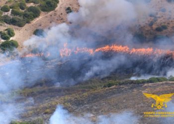 Incendio nelle campagne di Sagama, in azione il Corpo forestale