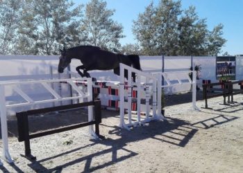 Abbasanta: dal 17 al 27 settembre il Sardegna Jumping Tour e il 58° Premio Regionale Sardo
