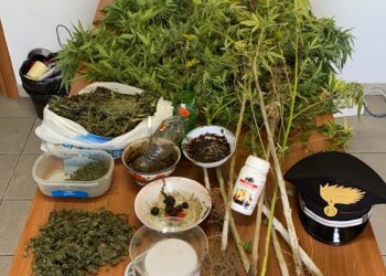I carabinieri di Uta hanno arrestato un puscher per coltivazione e detenzione di sostanza stupefacente ai fini di spaccio